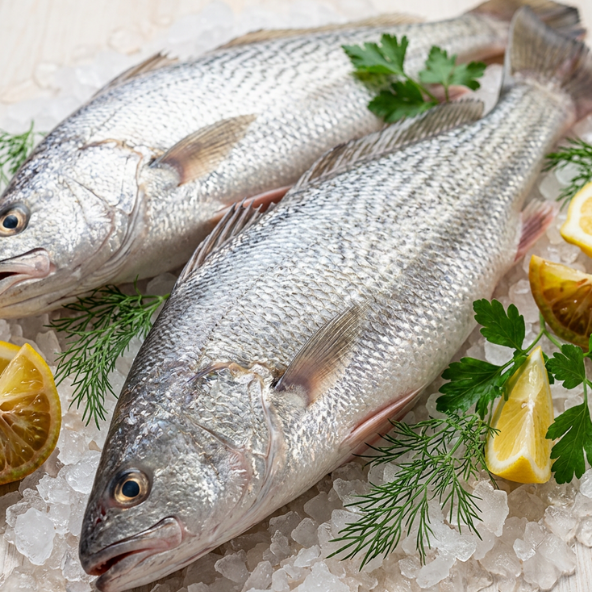 Corvina